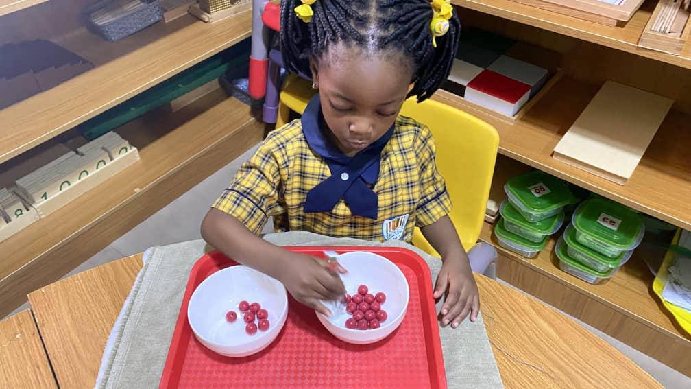 Montessori tray work